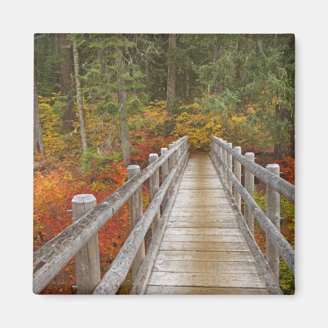 Imã EUA, Oregon, Floresta Nacional Willamette. (Frente)