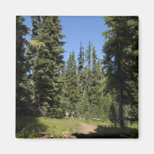 Imã EUA, Oregon, Floresta Nacional Willamette, Outono