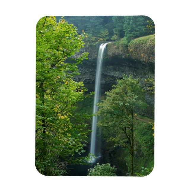 Ímã EUA, Oregon, Parque Estadual Silver Falls (Vertical)