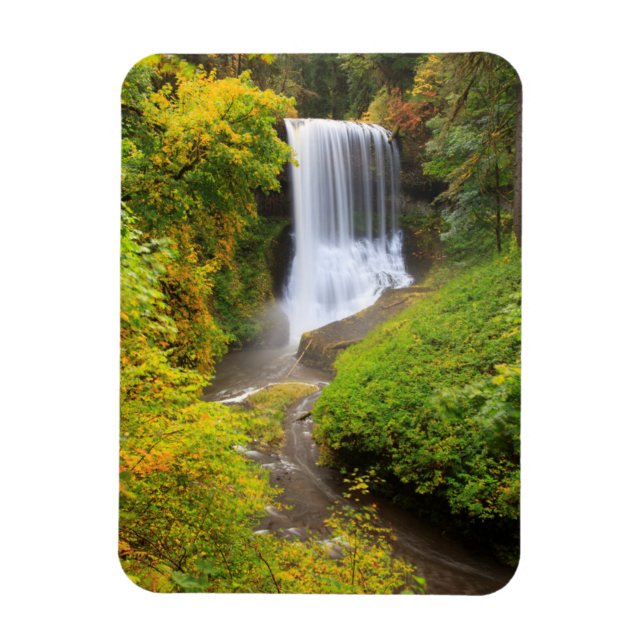 Ímã EUA, Oregon, Parque Estadual Silver Falls 3 (Vertical)