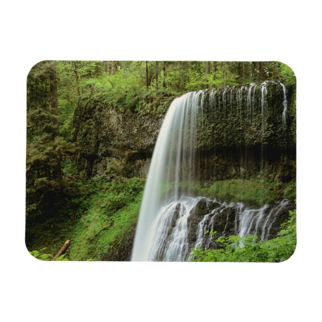 Ímã EUA, Oregon, Parque Estadual Silver Falls. Baixo (Horizontal)