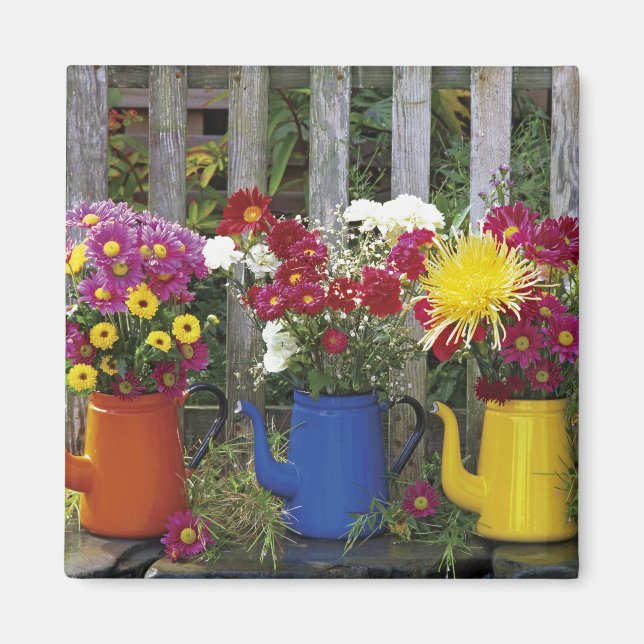 Imã EUA, Oregon, Portland. Louças esmaltadas antigas (Frente)