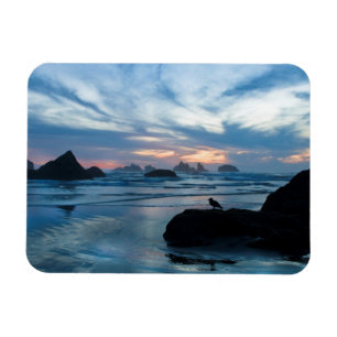 Ímã EUA, Oregon, Praia de Bandon. Gaivota sobre rocha