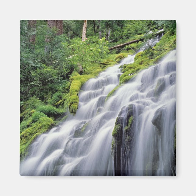 Imã EUA, Oregon, Proxy Falls. Proxy Falls corre (Frente)