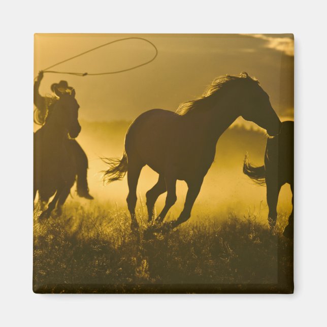 Imã EUA, Oregon, Seneca, Ponderosa Ranch. (Frente)