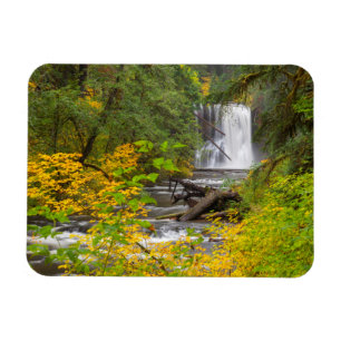 Ímã EUA, Oregon, Silver Falls State Park 2