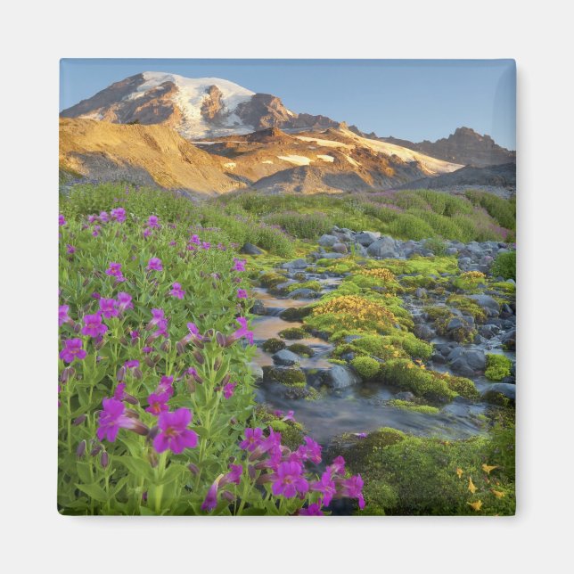 Imã EUA, Parque Nacional Mt. Rainier, Washington. (Frente)