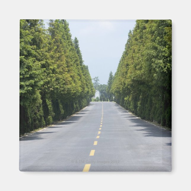 Imã EUA, Parque Nacional Yellowstone, estrada Treeline (Frente)