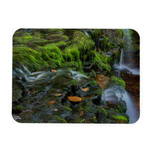 Ímã EUA, Pensilvânia, Benton, Ricketts Glen State