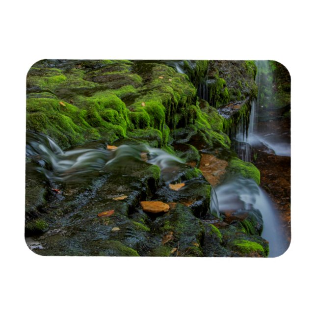 Ímã EUA, Pensilvânia, Benton, Ricketts Glen State (Horizontal)