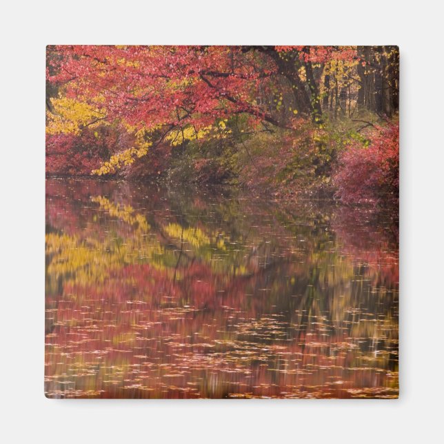 Imã EUA, Pensilvânia, Delaware Water Gap National (Frente)