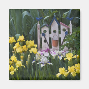 Imã EUA, Pensilvânia. Os irguetos do jardim crescem