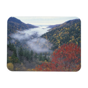 Ímã EUA, Tennessee, Excelente Smokey Mountains Nationa