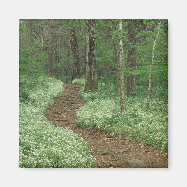 Imã EUA, Tennessee, Great Smoky Mountains NP, 3 (Frente)