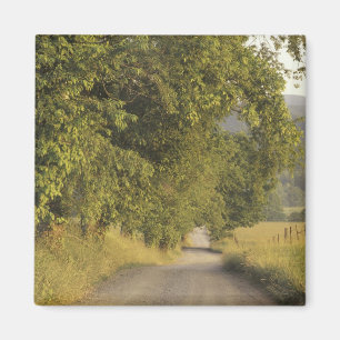 Imã EUA, Tennessee, Montanhas do Enfumaçado Excelente