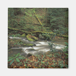 Imã EUA, Tennessee. Rio Grande do Sul Fork