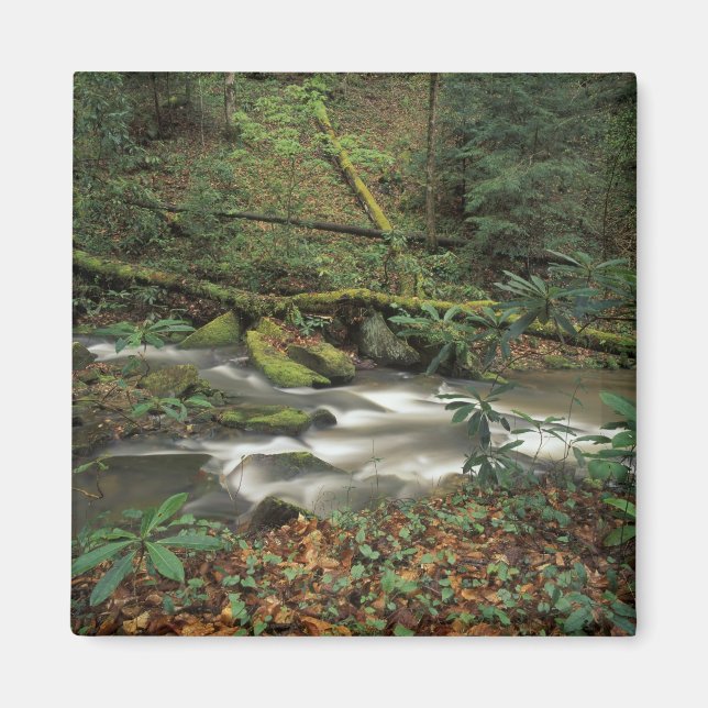 Imã EUA, Tennessee. Rio Grande do Sul Fork (Frente)