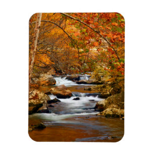 Ímã EUA, Tennessee. Rushing Mountain Creek