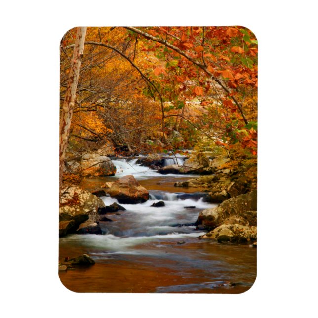 Ímã EUA, Tennessee. Rushing Mountain Creek (Vertical)