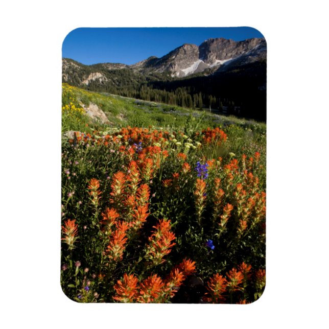Ímã EUA, Utah, Floresta Nacional Uinta-Wasatch-Cache (Vertical)