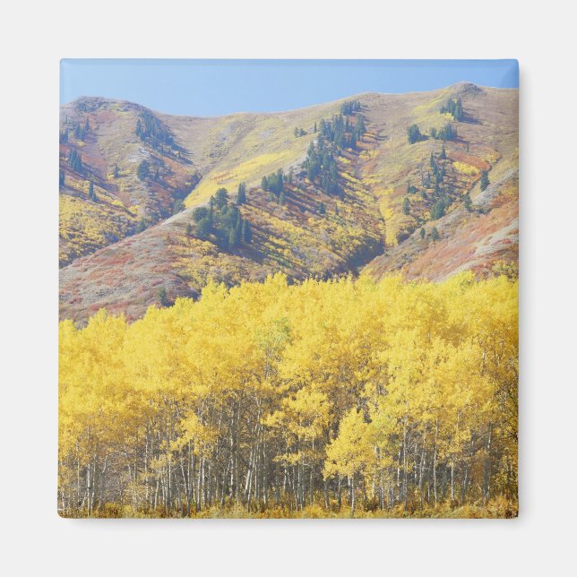 Imã EUA, Utah, Floresta Nacional Wasatch-Cache, (Frente)