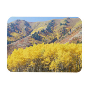 Ímã EUA, Utah, Floresta Nacional Wasatch-Cache,
