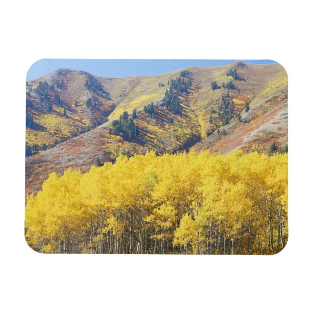 Ímã EUA, Utah, Floresta Nacional Wasatch-Cache, (Horizontal)