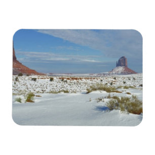 Ímã EUA, Utah, Monument Valley. Artemísia