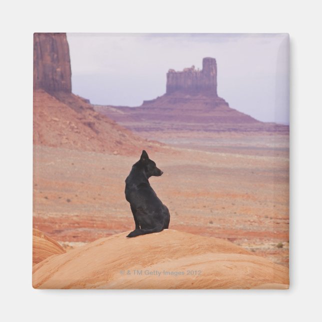 Imã EUA, Utah, Monument Valley, Cachorro sentado no ro (Frente)