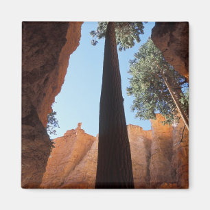 Imã EUA, Utah, Parque Nacional Bryce Canyon. Alto