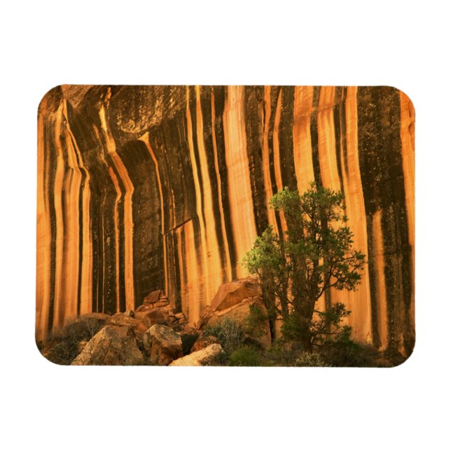 Ímã EUA, Utah, Parque Nacional Capitol Reef (Horizontal)