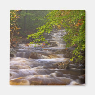 Imã EUA, Vermont, East Arlington, Fluxos