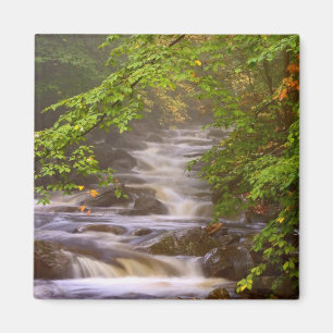 Imã EUA, Vermont, East Arlington, Fluxos