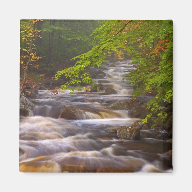 Imã EUA, Vermont, East Arlington, riachos fluidos (Frente)