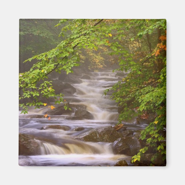 Imã EUA, Vermont, East Arlington, riachos fluidos (Frente)