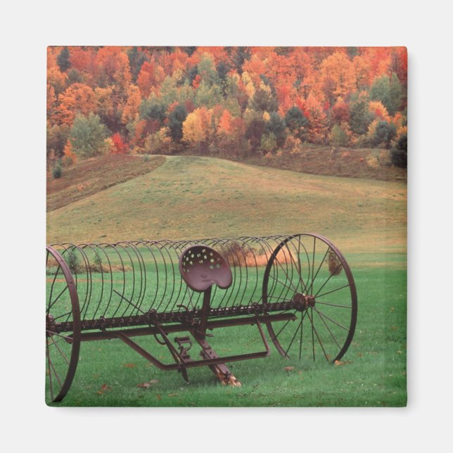 Imã EUA, Vermont, Fazenda. (Frente)