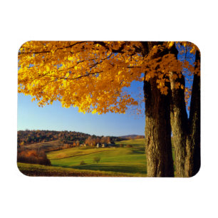 Ímã EUA, Vermont. Fazenda Cênica perto de South Woodst