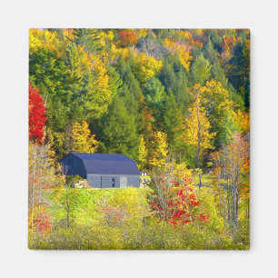 Imã EUA, Vermont. Folhagem de outono ao longo da rodov