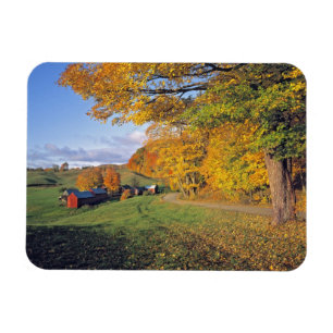 Ímã EUA, Vermont, Jenne Farm. Outono chega a Jenne