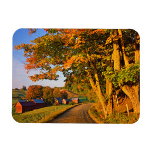 Ímã EUA, Vermont, South Woodstock