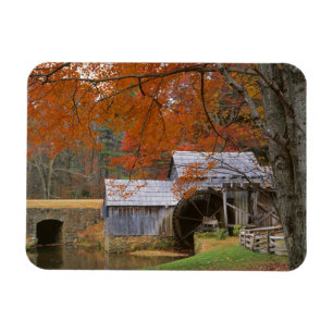 Ímã EUA, Virgínia, Blue Ridge Parkway, Outono