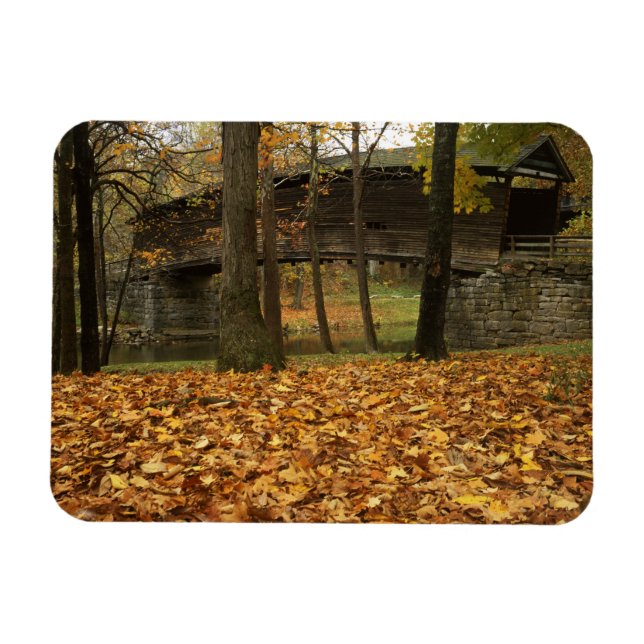 Ímã EUA, Virgínia, Covington, Humpback Coberta (Horizontal)