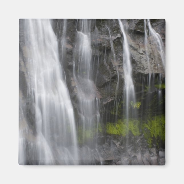 Imã EUA, WA, Monte Rainier NP, Narada Falls (Frente)