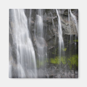 Imã EUA, WA, Mt. Rainier NP, Narada Falls