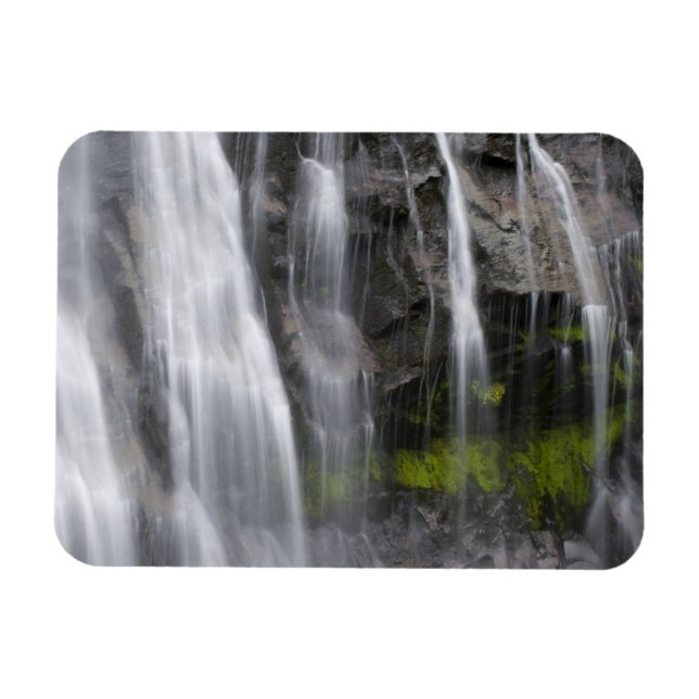Ímã EUA, WA, Mt. Rainier NP, Narada Falls (Horizontal)