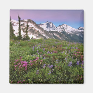 Imã EUA, Washington, Cascade Mountains, Norte