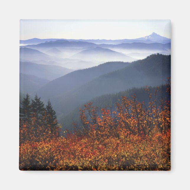 Imã EUA, Washington, Columbia River Gorge National (Frente)