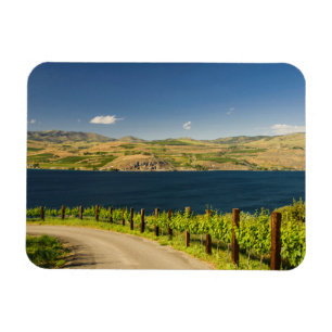 Ímã EUA, Washington, Lago Chelan. Vinhedo