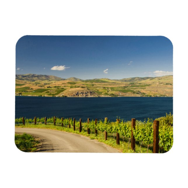 Ímã EUA, Washington, Lago Chelan. Vinhedo (Horizontal)