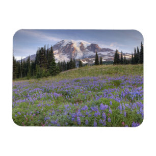 Ímã EUA, Washington, Mt. Rainier NP, Mt. Rainier e